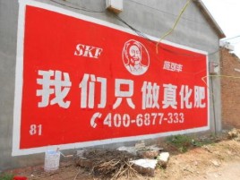 屏南刷墙广告”蕴含了时代命题