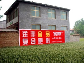 屏南如何让墙体广告展现最大化效果