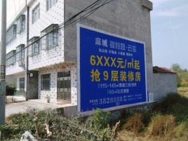 屏南墙体广告质量分析
