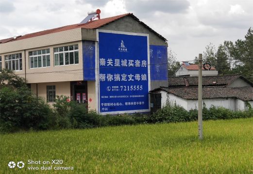 屏南决定墙体广告价格的因素有哪些?